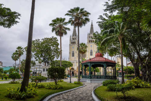 Guayaquil Seminario Park in Ecuador, Suedamerika