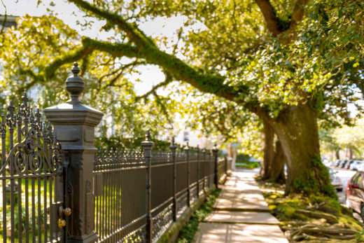 Garden District beim New Orleans Urlaub erkunden