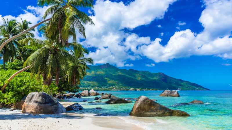 Weißer Sandstrand mit Palmen auf den Seychellen in Afrika.