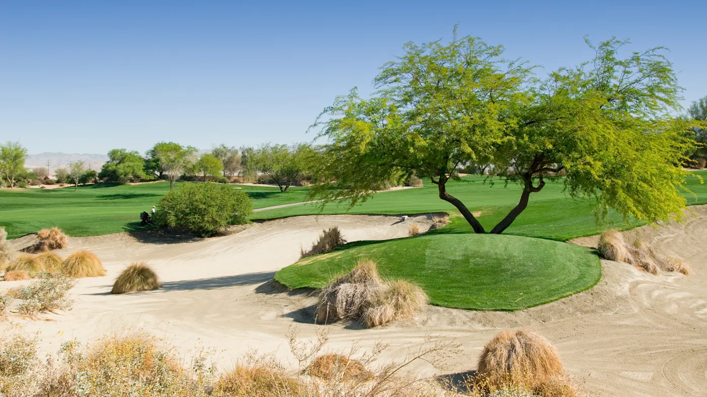 Saudi-Arabien, Golfplatz Golfplatz mit grünen Fairways, umgeben von Sanddünen und trockenem Buschwerk. Saudi-Arabien.