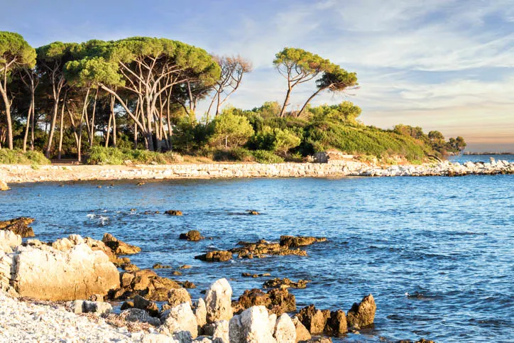 France, Cannes, St-Honorat insel Besuchen Sie die Insel St-Honorat während Ihres Urlaubs in Cannes.