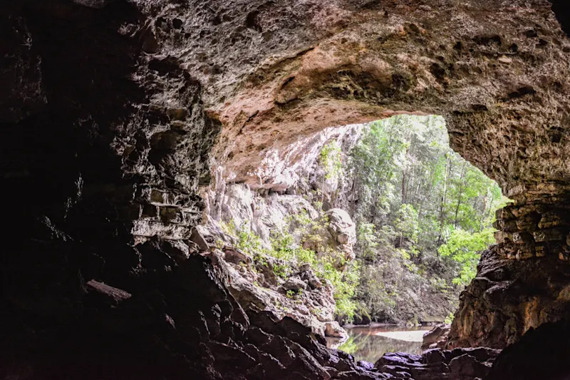 Blick aus einer natürlichen Höhle auf einen Fluss und grünen Wald, umrahmt von felsigen Höhlenwänden.