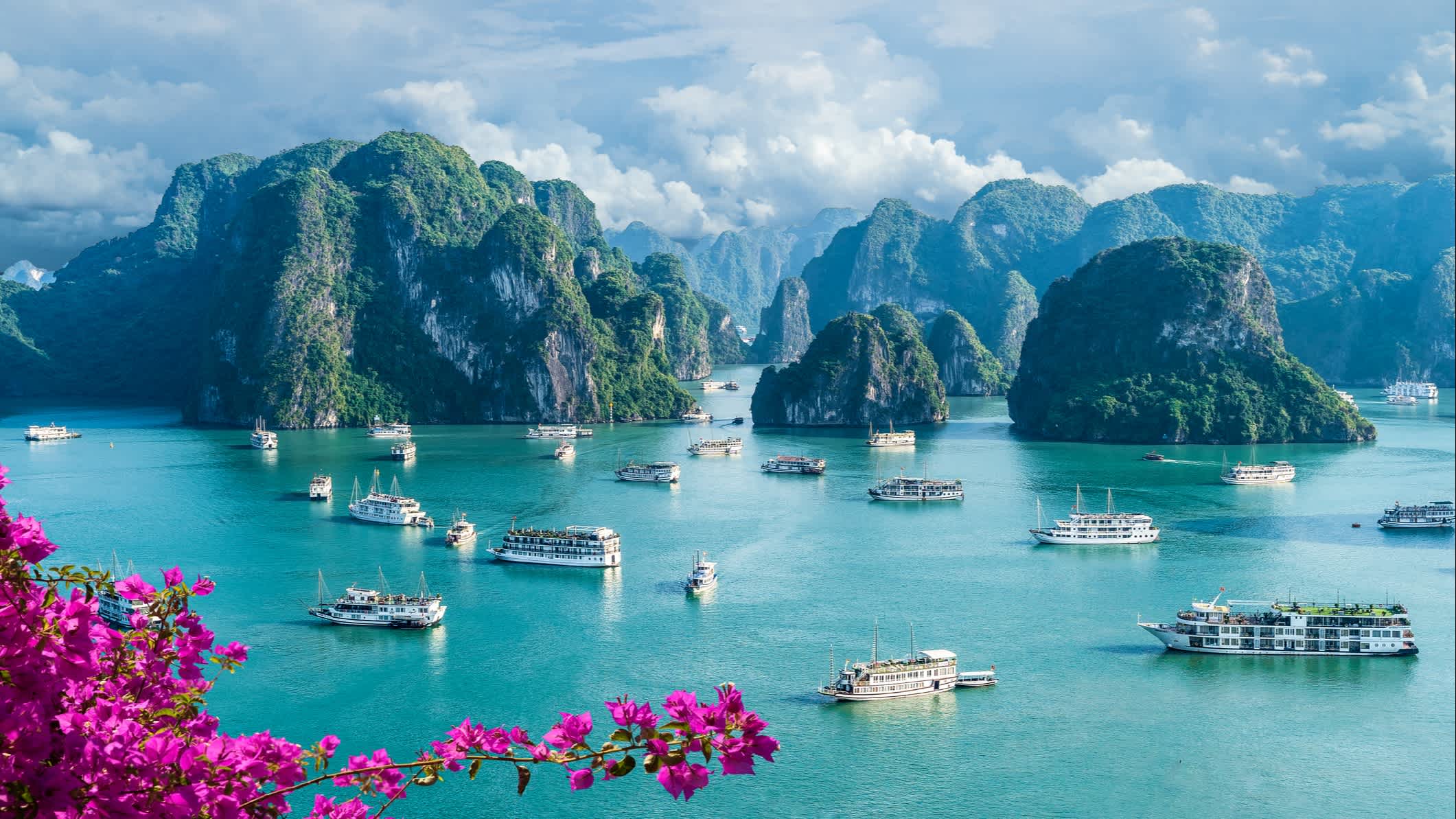 Vue de bateaux sur la baie d'Halong, Vietnam

