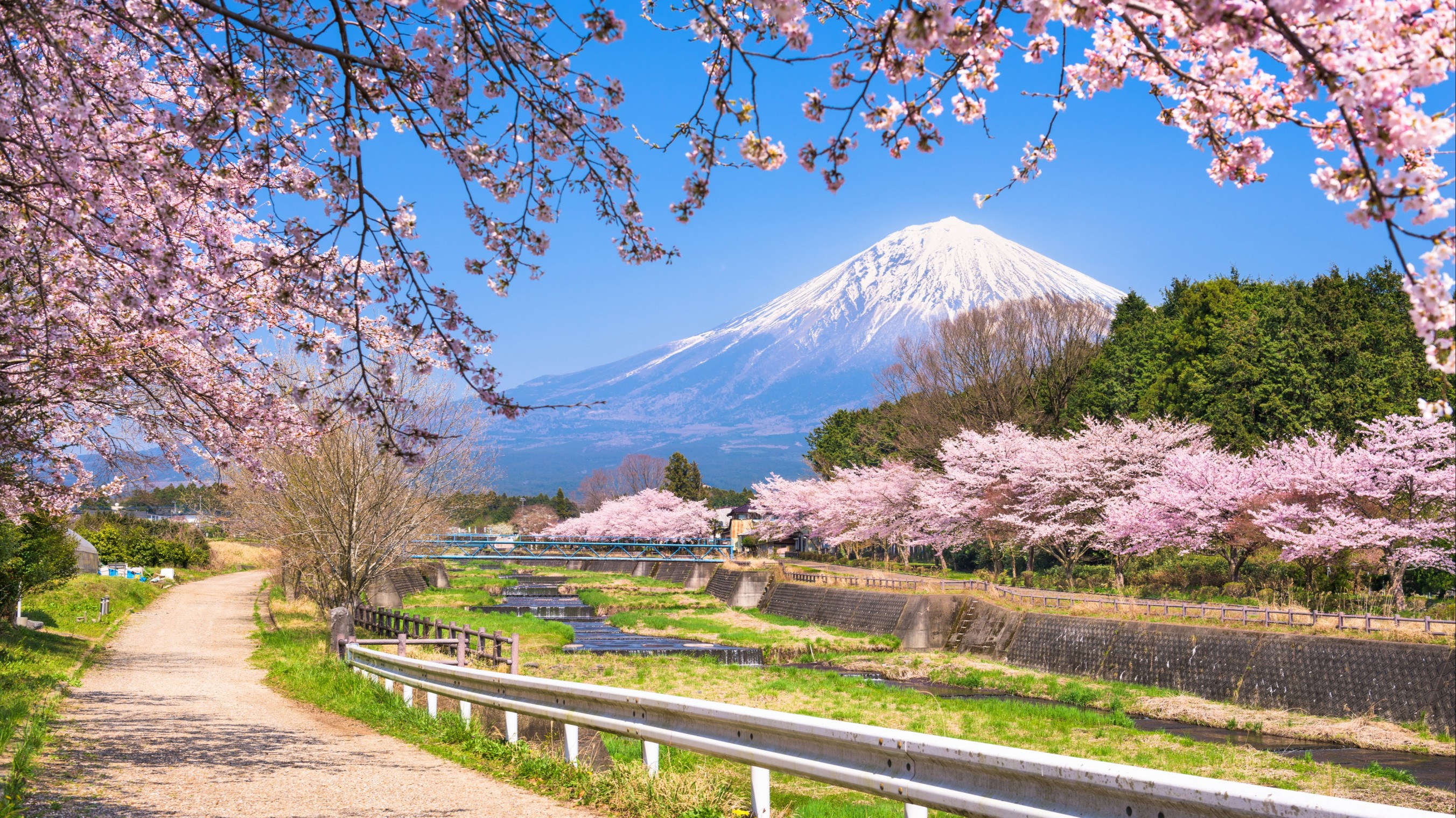 Kersenbloesem Reis 7 Dagen Japan Met Gids Tourlane   Japan Mount Fuji Kirschblu  Te 