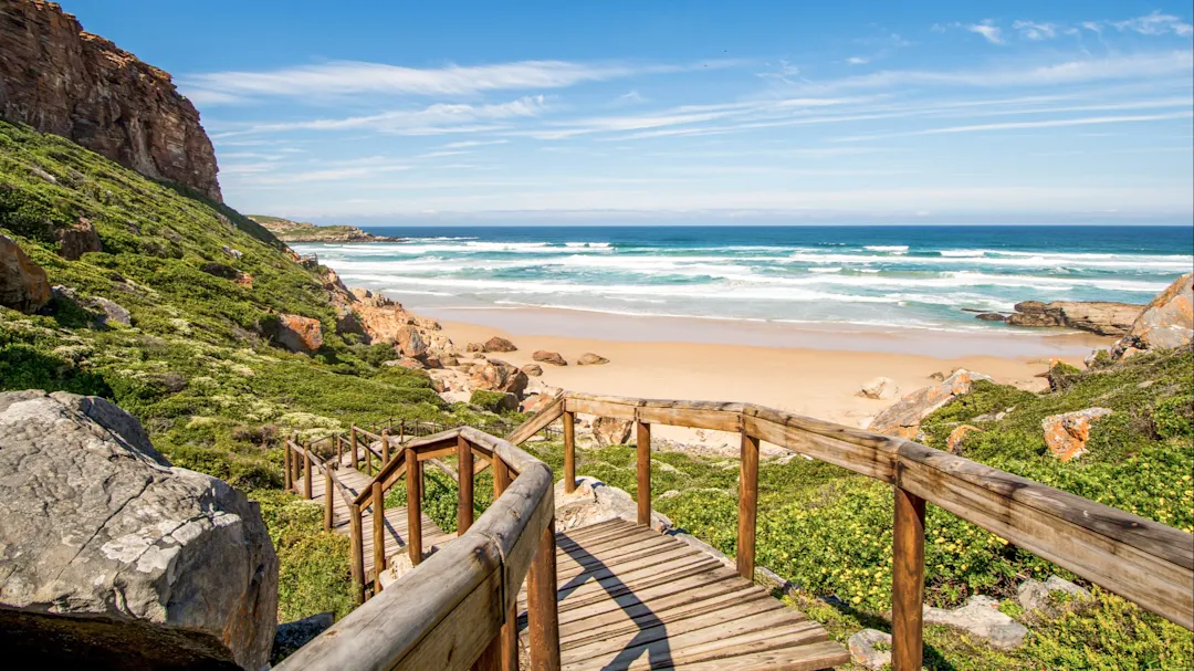 Plettenberg Bay, Westkap, Südafrika Holzsteg führt durch grüne Klippenlandschaft zu einem Sandstrand mit Wellen. Plettenberg Bay, Westkap, Südafrika.