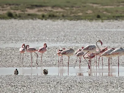 Abenteuerreise Kapstadt bis Namibia - Image 3