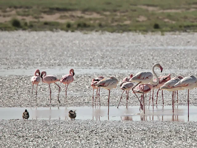 Abenteuerreise Kapstadt bis Namibia