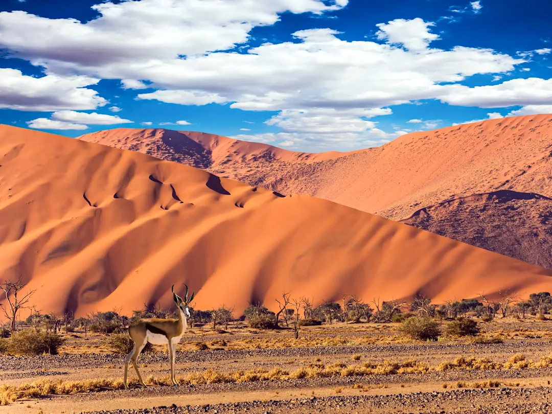 2 semaines en Namibie