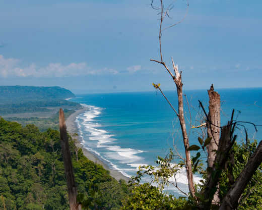 Vue aérienne de la plage de sable naturel