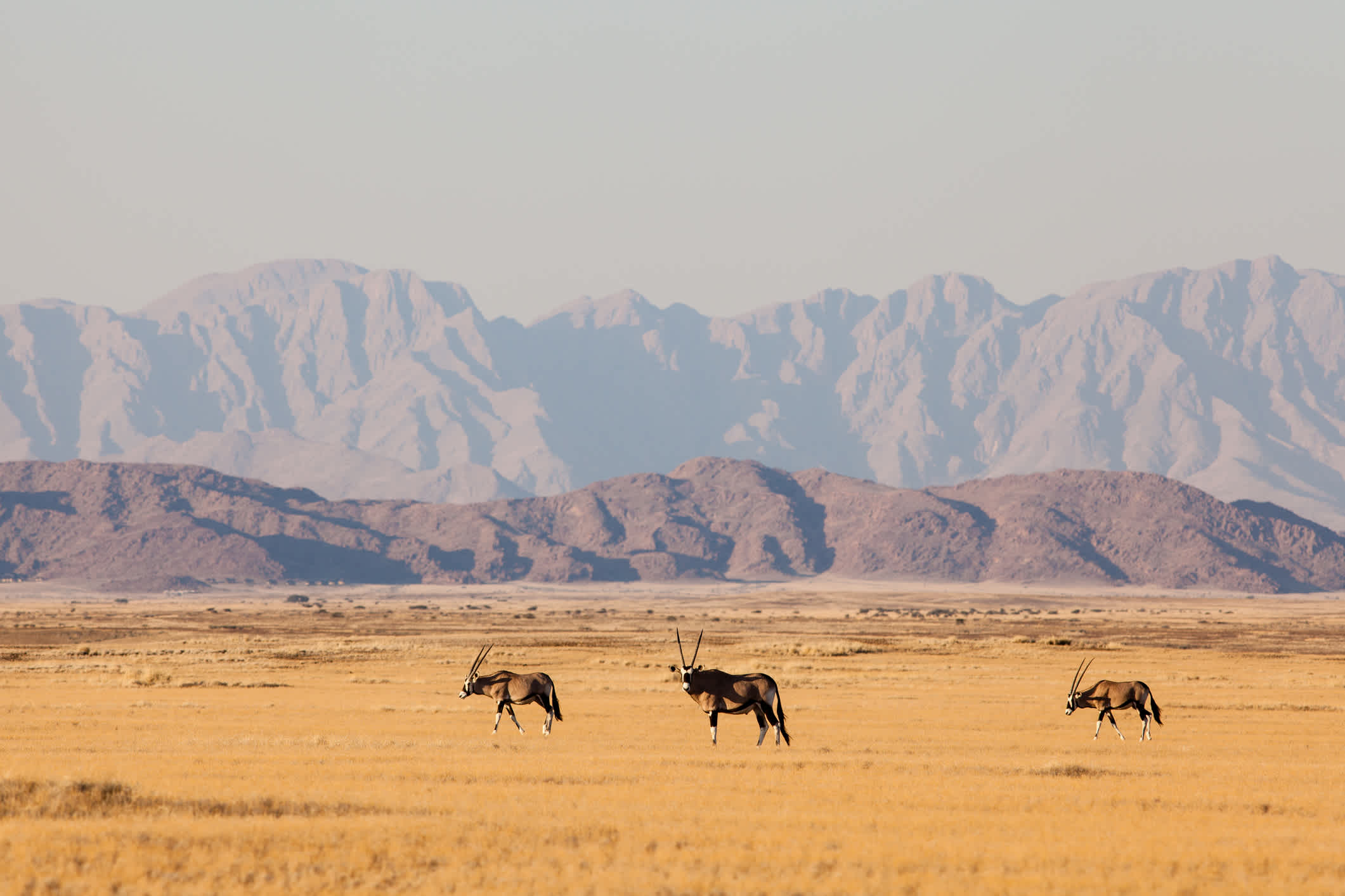 live 2 travel namibie