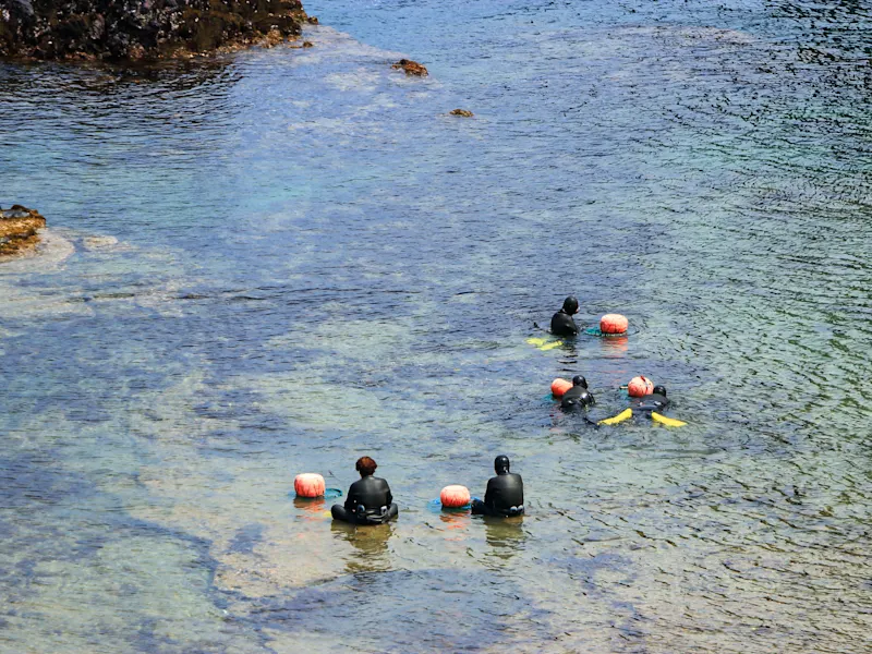 Traditionelle Haenyeo-Taucherinnen mit Netzen im flachen Küstenwasser. Jeju, Südkorea.
