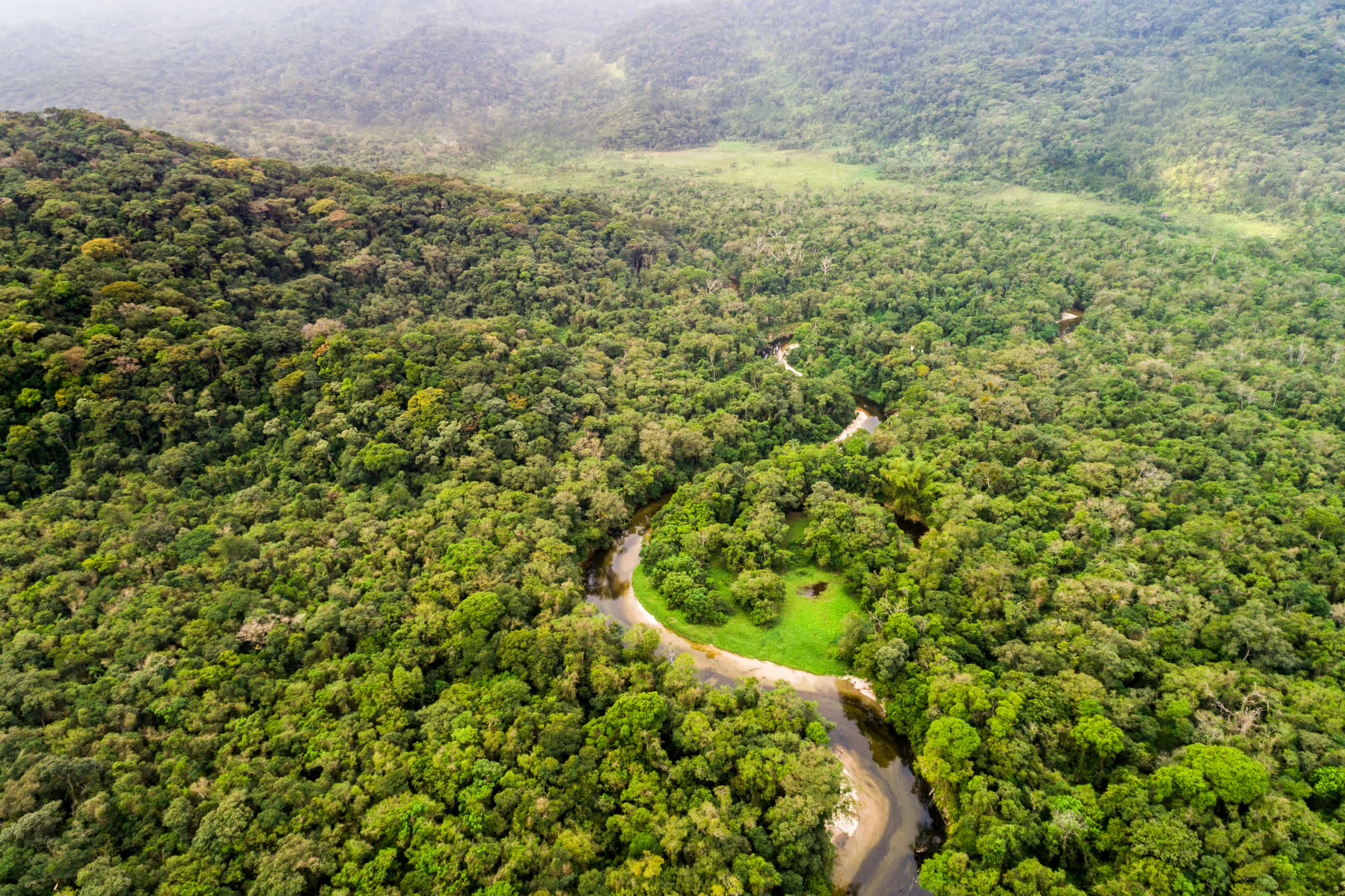 Vue aérienne de la forêt amazonienne, Amérique du Sud