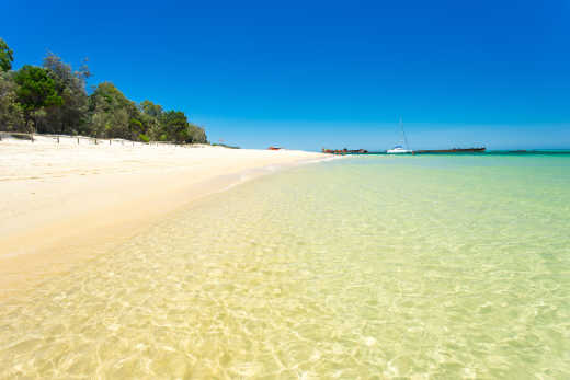 Faites une excursion vers l'île de Moreton et profitez de ses plages de sable fin pendant votre voyage à Brisbane.