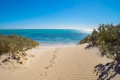 Circuit sur la côte ouest de l'Australie - Image 1