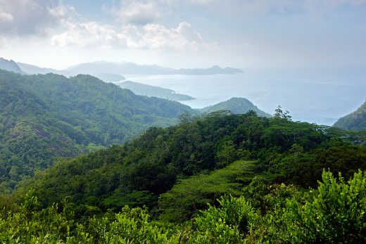 In het centrum van het Morne Seychellois National Park ligt de Morne Seychellois, de hoogste berg van de Seychellen.