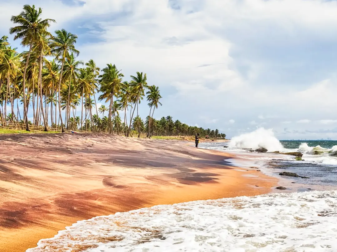 Tropischer Sandstrand mit Palmen und Wellen unter blauem Himmel. Sri Lanka.