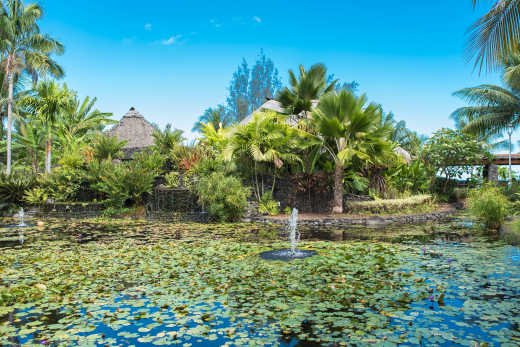 Papeete Paofai gardens