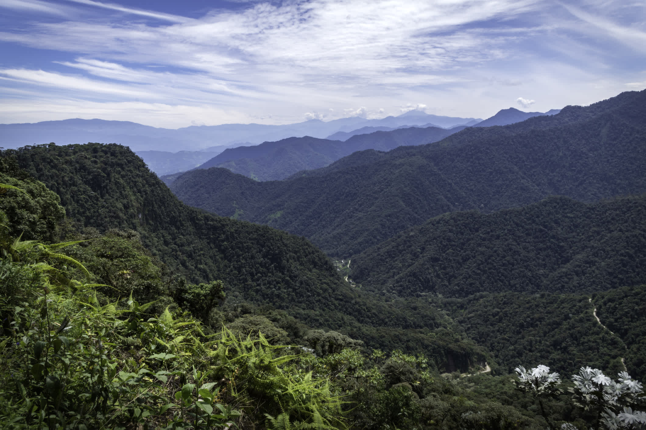 Erstaunlicher Panoramablick auf das Bella Vista Tal. Sie können mehrere Berge, Hügel, wilde Vegetation und den Himmel voller Wolken sehen. Mindo, Ecuador