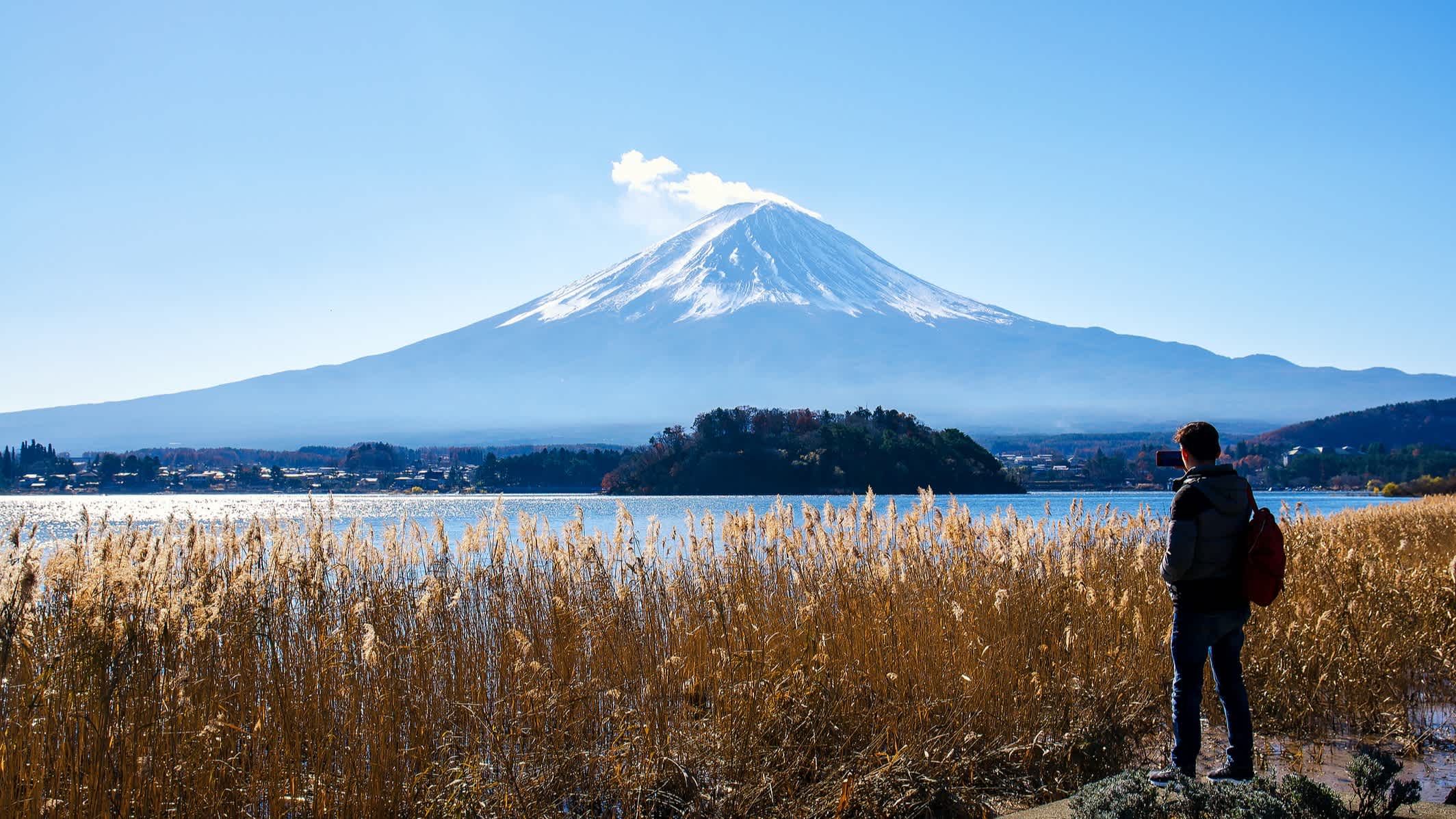 Ein Mann inmitten der wunderschönen Natur des Berges Fuji, Yamanashi, Japan.

