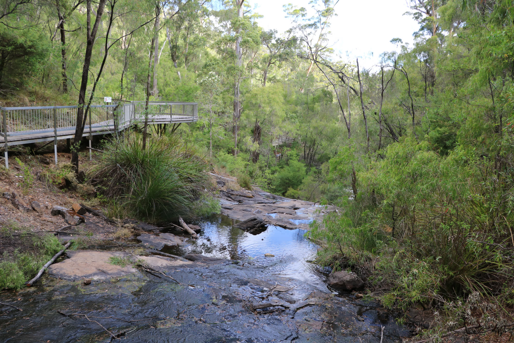 Parc national Greater Beedelup, Pemberton, Australie occidentale