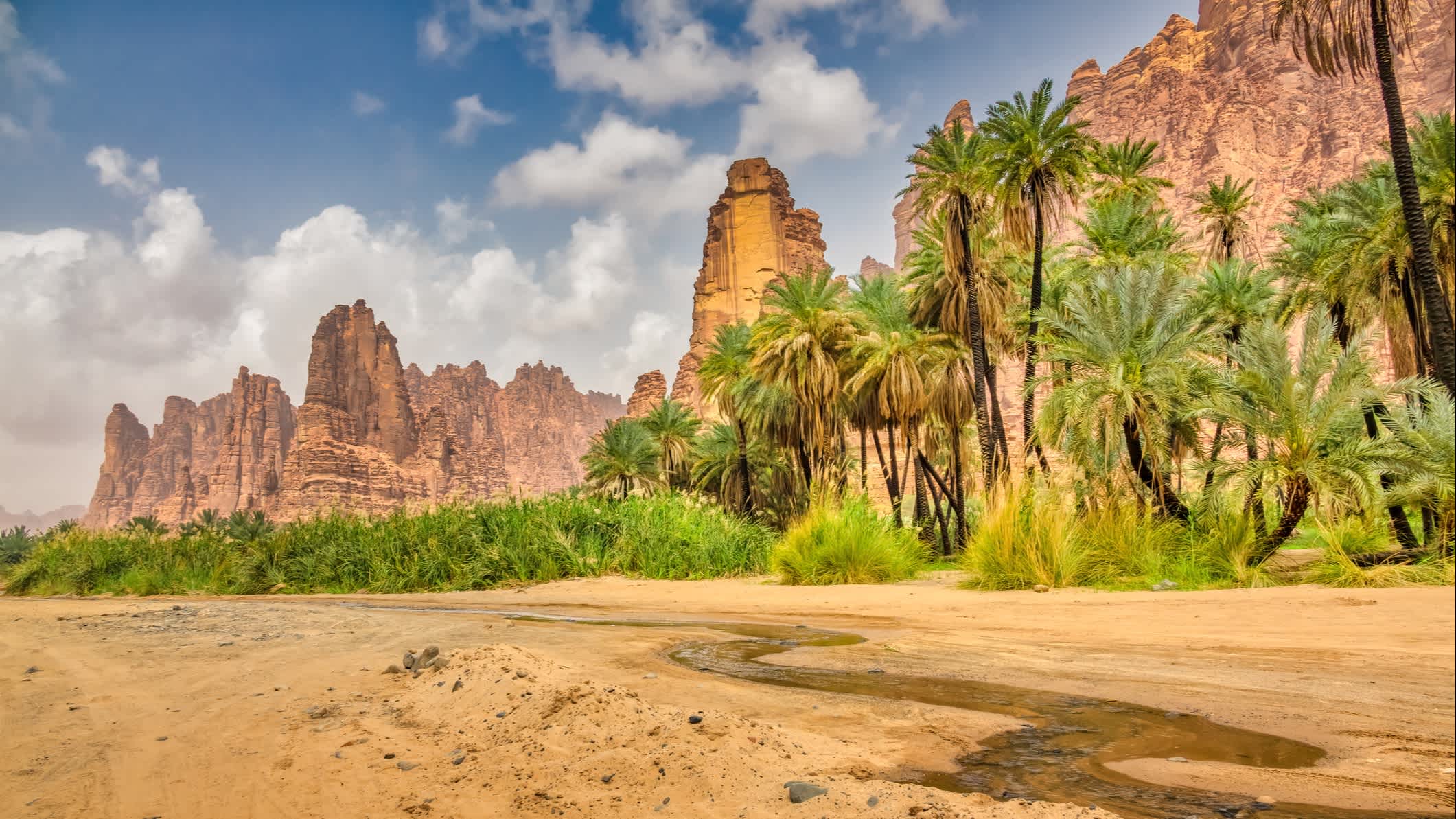 Der Landschaft von Wadi Al Disah Tal in Saudi-Arabien. 