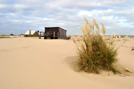 Petites habitations en bois sur le sable, à Cabo Polonio, en Uruguay