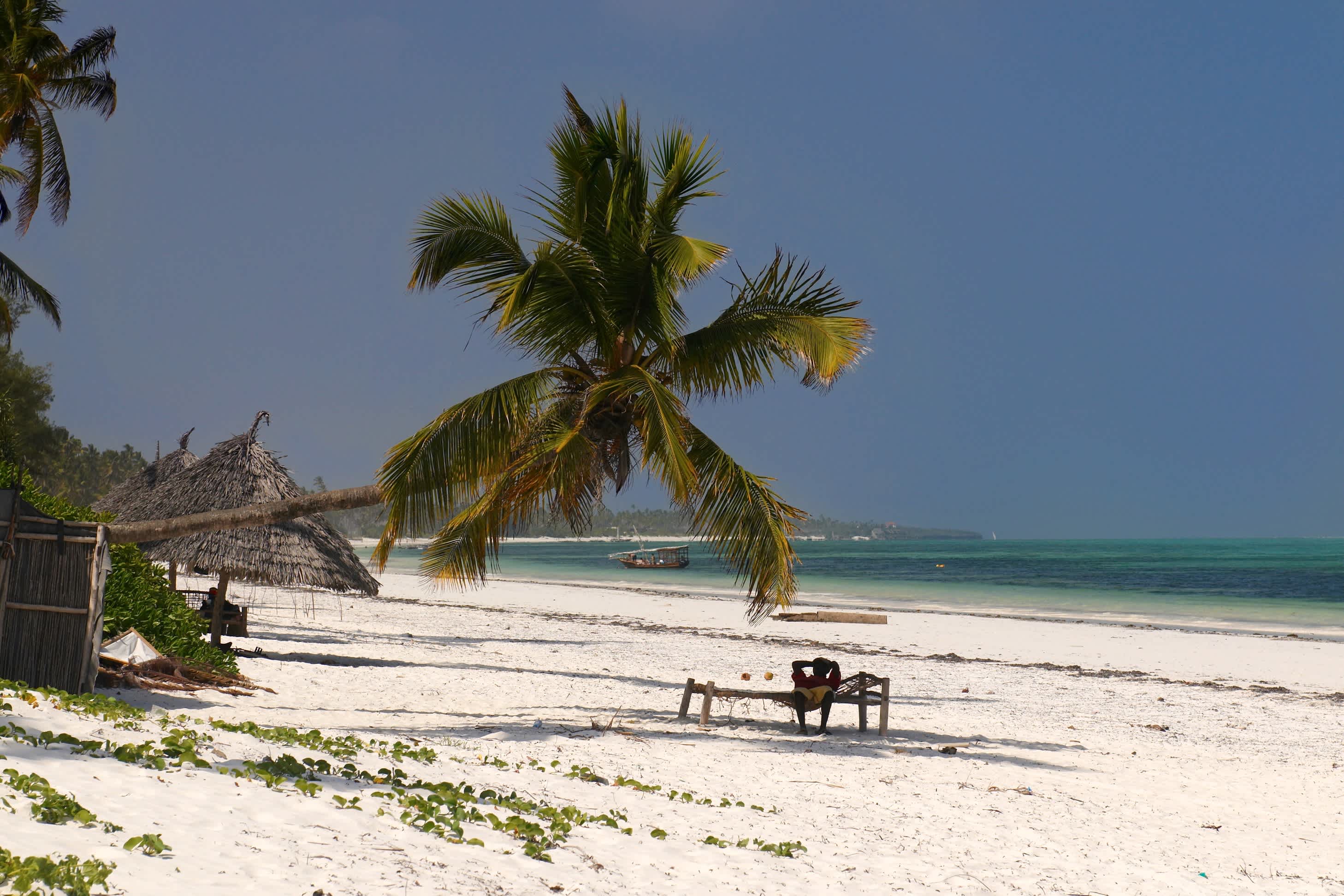 Plage de sable blanc avec palmiers