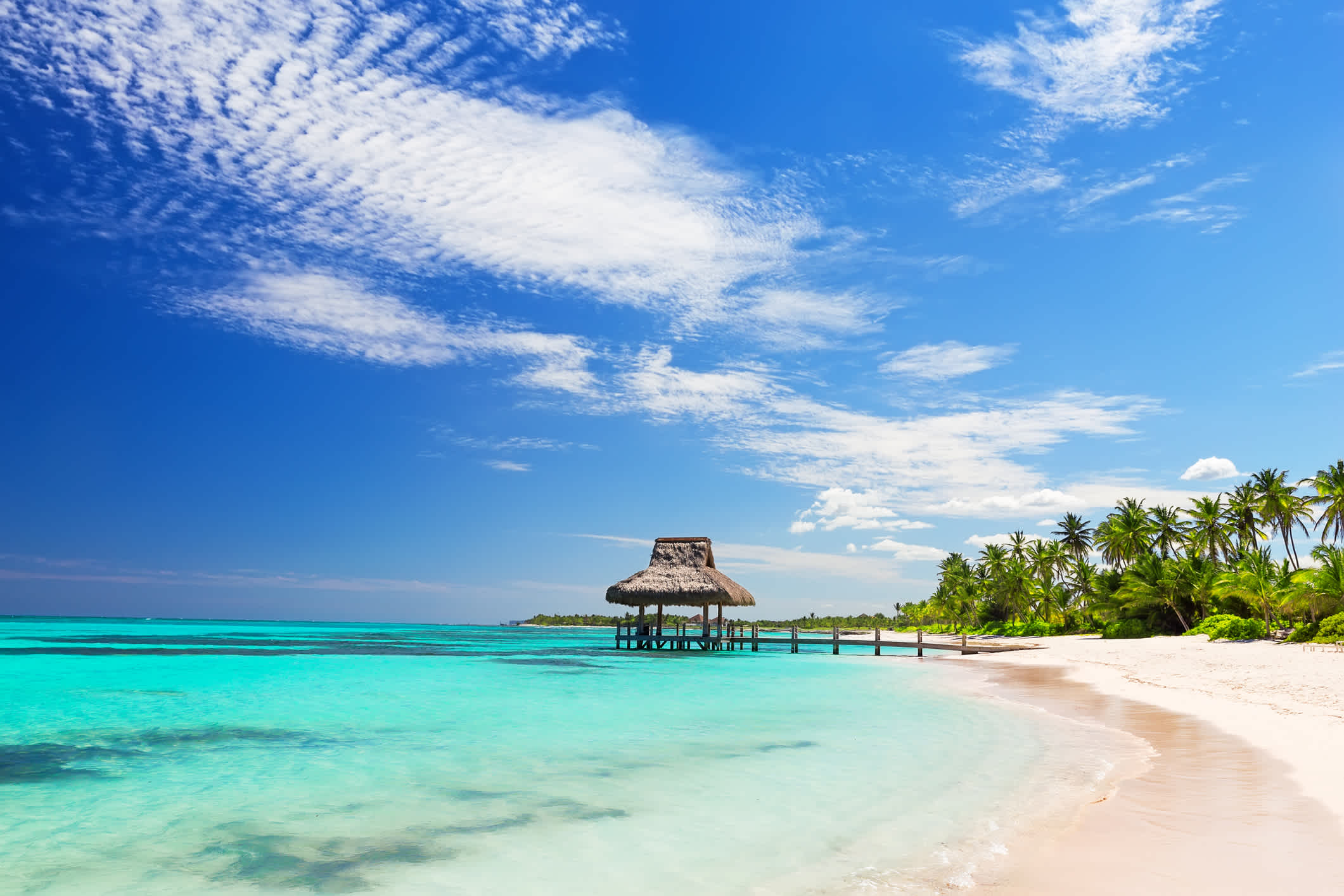 Profitez d'un décors de rêve pendant votre voyage à Punta Cana.