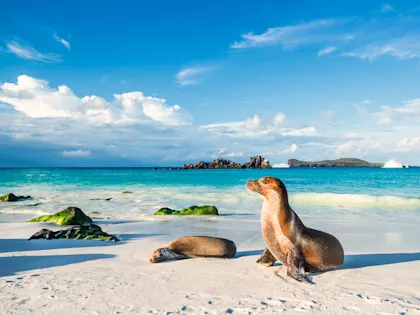 Galapagos Inselabenteuer mit Kindern - Image 1