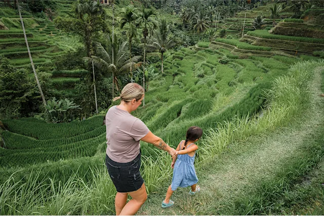 Circuit individuel à Bali 