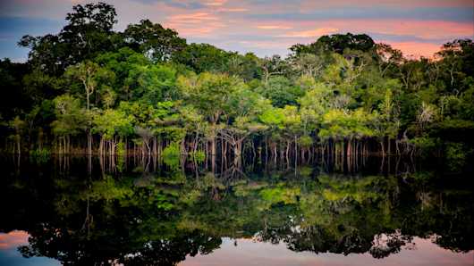 Planen Sie Ihre individuelle Amazonas Reise Tourlane