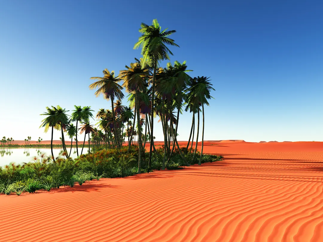 Westsahara Urlaub Westsahara Urlaub