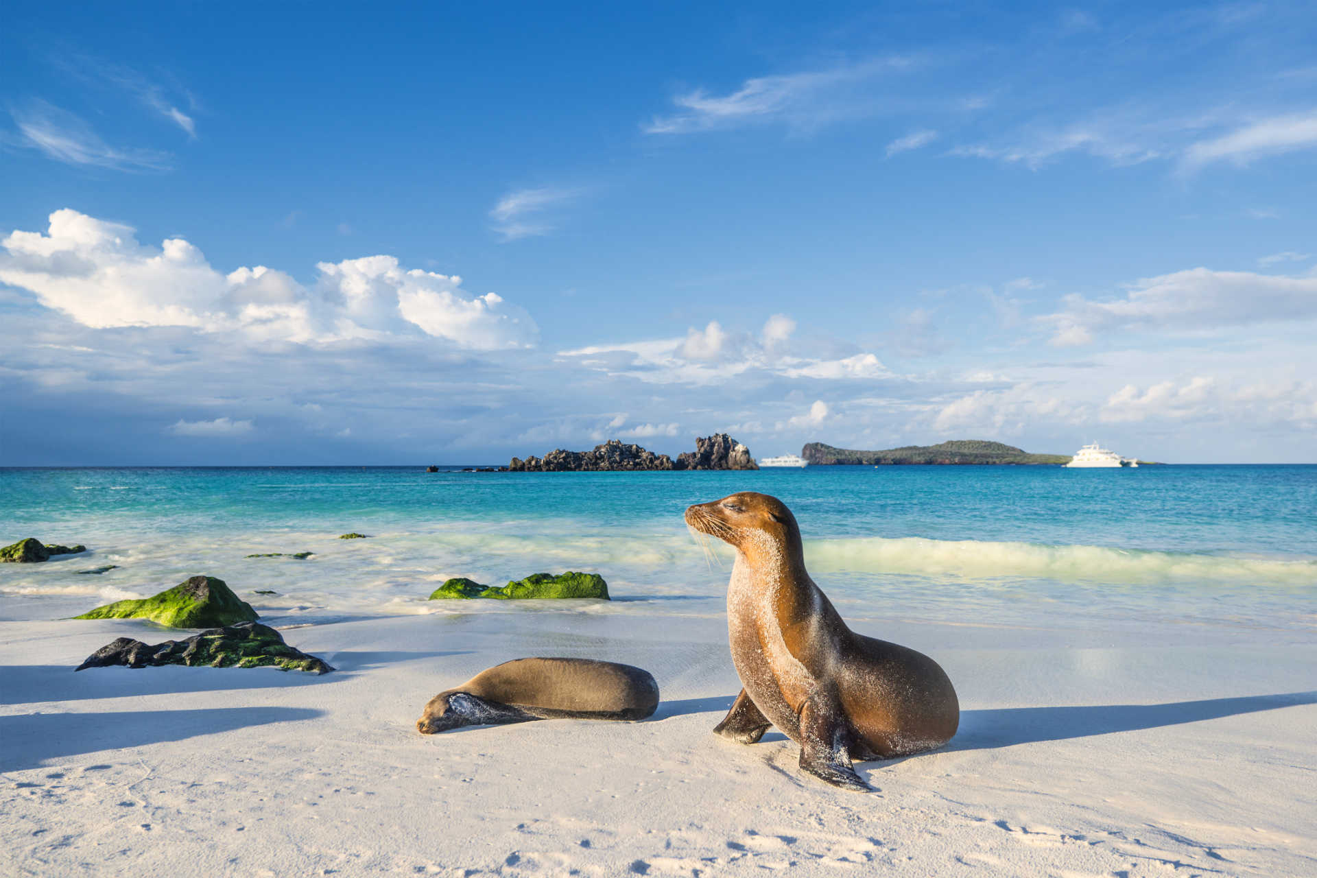galapagos islands tours g adventures