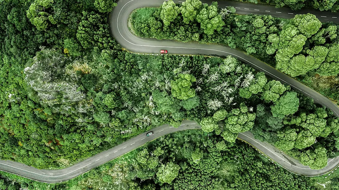 Luftaufnahme einer kurvenreichen Straße durch die dichten Wälder auf dem hohen Berg in Encumeada, Ribeira Brava, Insel Madeira. Portugal.