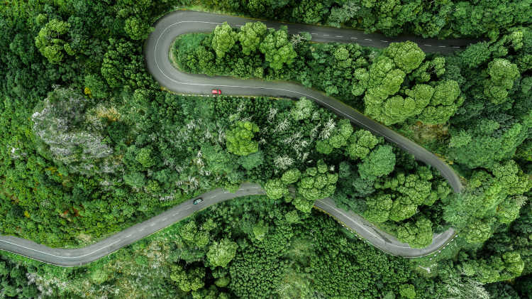 Luftaufnahme einer kurvenreichen Straße durch die dichten Wälder auf dem hohen Berg in Encumeada, Ribeira Brava, Insel Madeira.