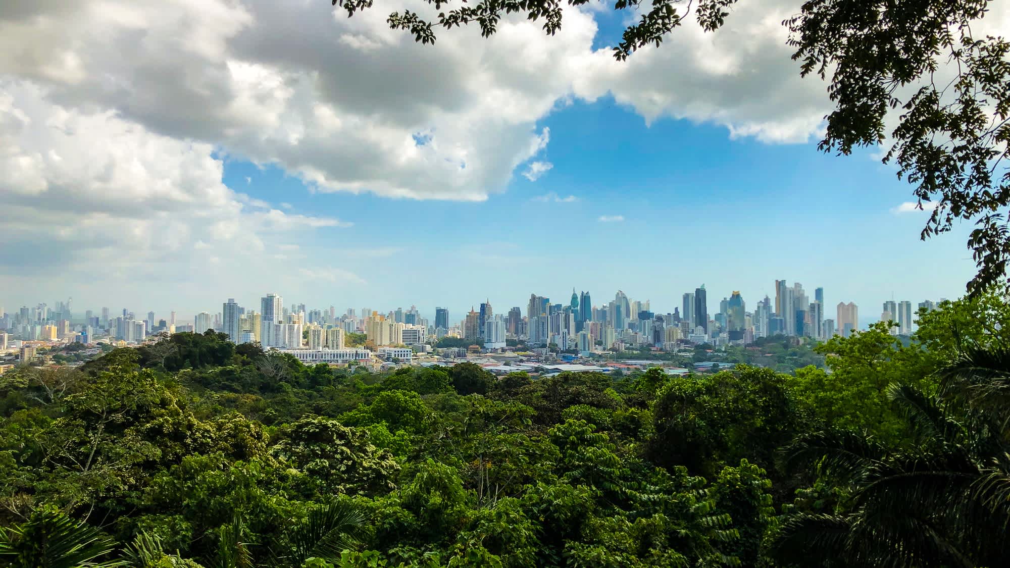 Vue du Parc naturel métropolitain avec la ville de Panama City en arrière-plan, au Panama