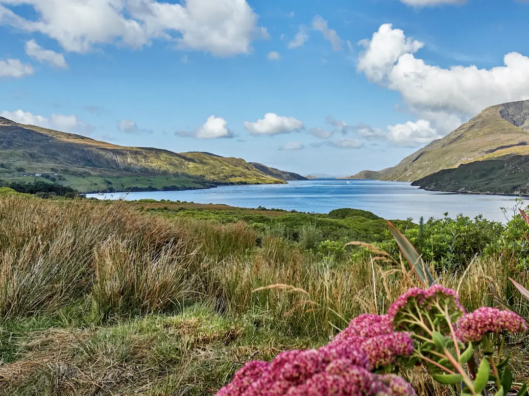 Irland, County Galway, Connemara Malerische Landschaft mit einem ruhigen See und sanften Hügeln. Connemara, County Galway, Irland.