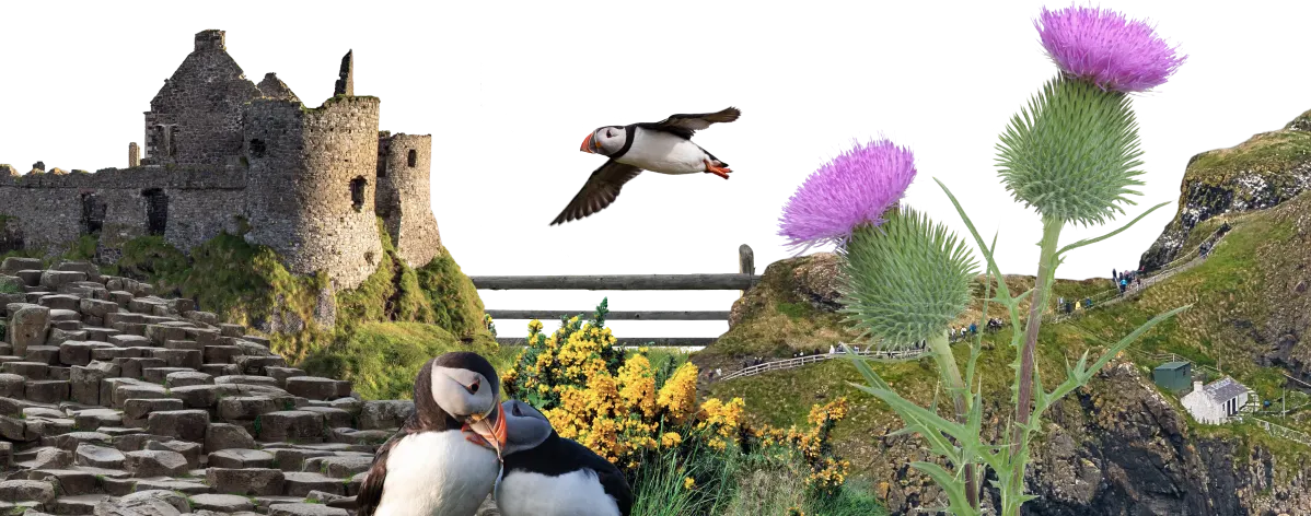 NORTHIRELAND XS