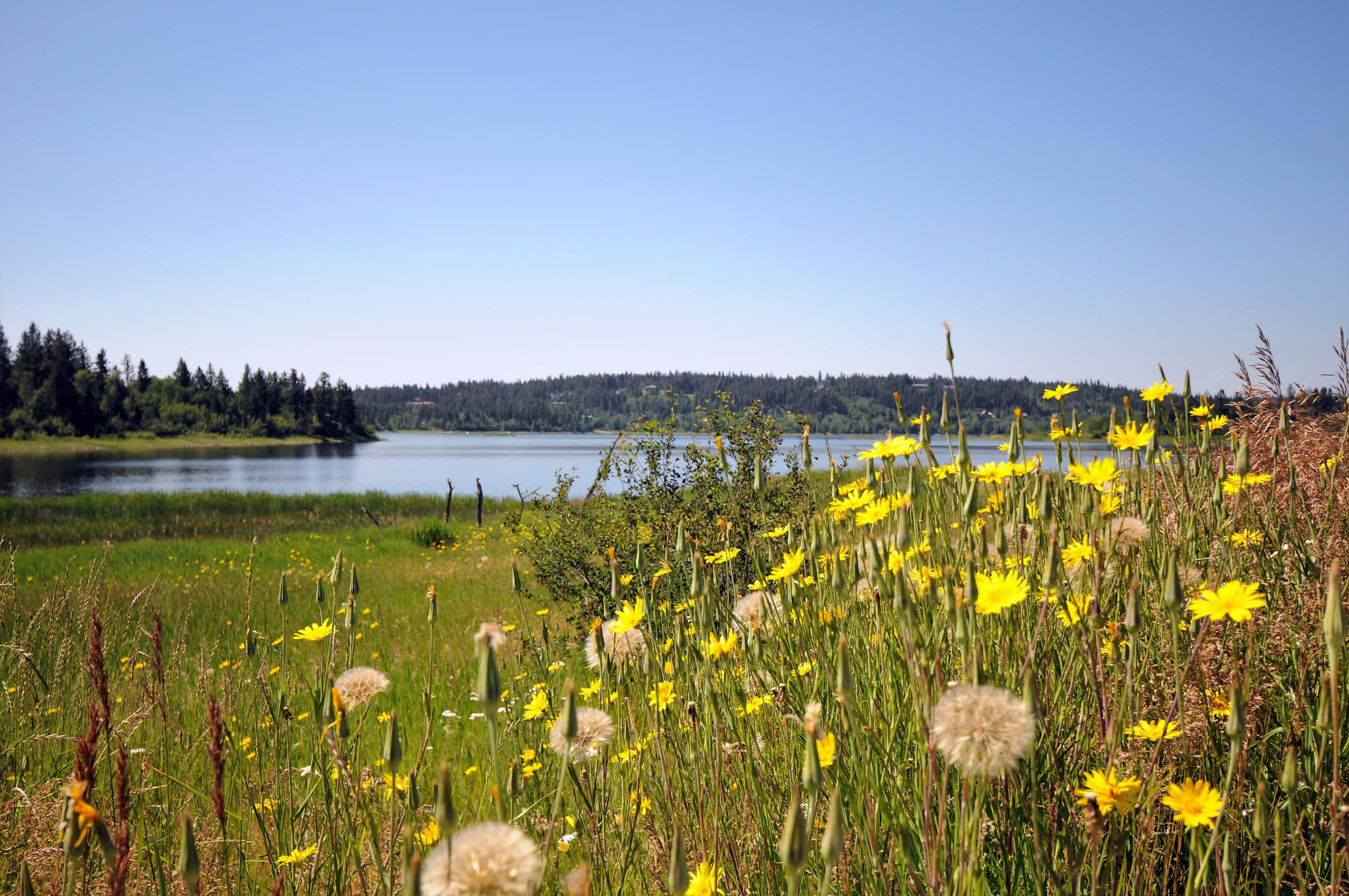 108 Mile Ranch in British Columbia in Canada