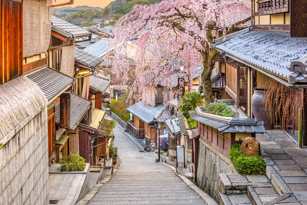Kyoto, Japan entspringt im historischen Bezirk Higashiyama.

