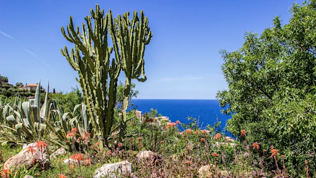 Mallorca Road Trip: 7-Day Itinerary in Spain’s Island Paradise