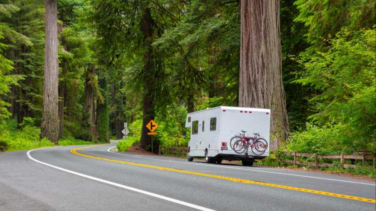 Wohnwagen in den California Redwoods