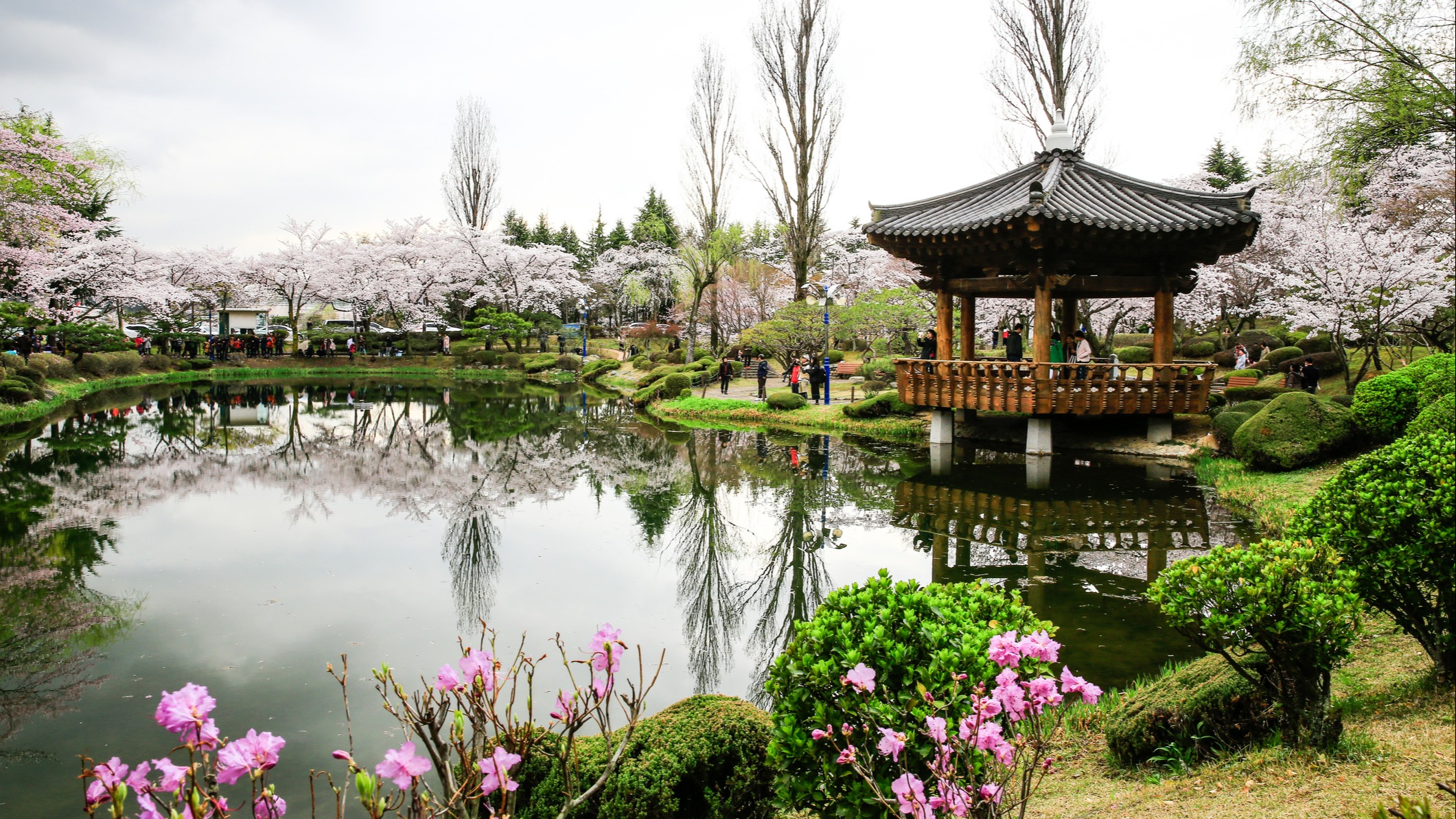 Wie viel kostet ein SüdkoreaUrlaub? Unsere Preisübersicht