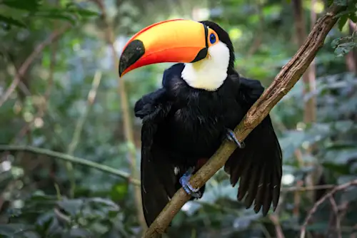 Constant a été de bons conseils