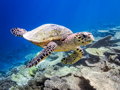 Familienreise durch Australien - Image 3