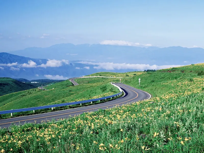 Japan, Venus Line, Nagano, Roadtrip Straße durch grüne Hügel mit gelben Blumen und blauen Geländern. Nagano, Japan.