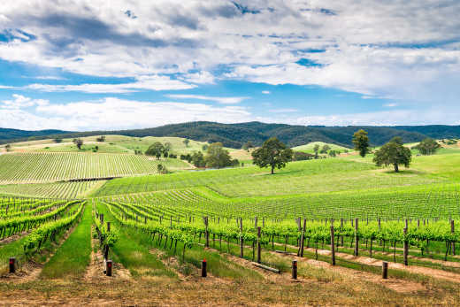 Barossa Valley