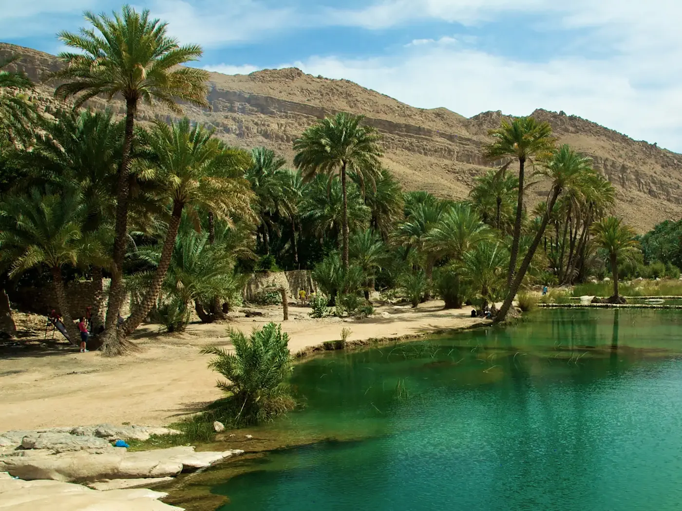 Grüner Oasenpool umgeben von Palmen und Bergen. c, Ash Sharqiyah, Oman.
