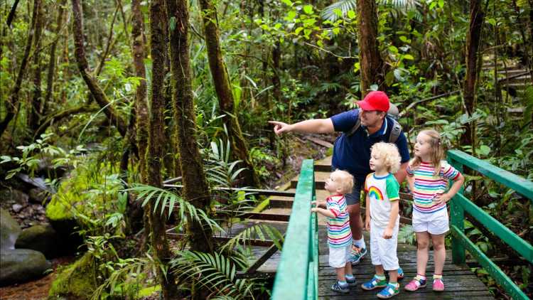 Vater und Kinder auf einer Wanderung im tropischen Regenwald, Borneo, Malaysia. 
