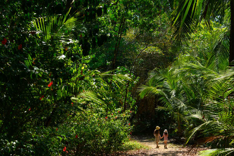 Kinder im tropischen Klima von Costa Rica